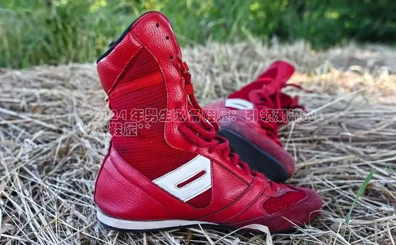 Bsport·B体育美团**2024 年男生必备鞋履：引领潮流的
爆款鞋履**