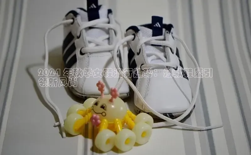 B体育官方入口APP百度信誉2024 年秋季女鞋流行趋势：爆款鞋履引
领新风尚