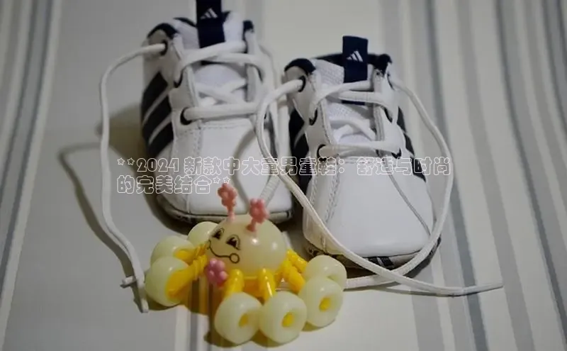 B—sports旧版下载百度识图**2024 新款中大童男童鞋：舒适与时尚
的完美结合**