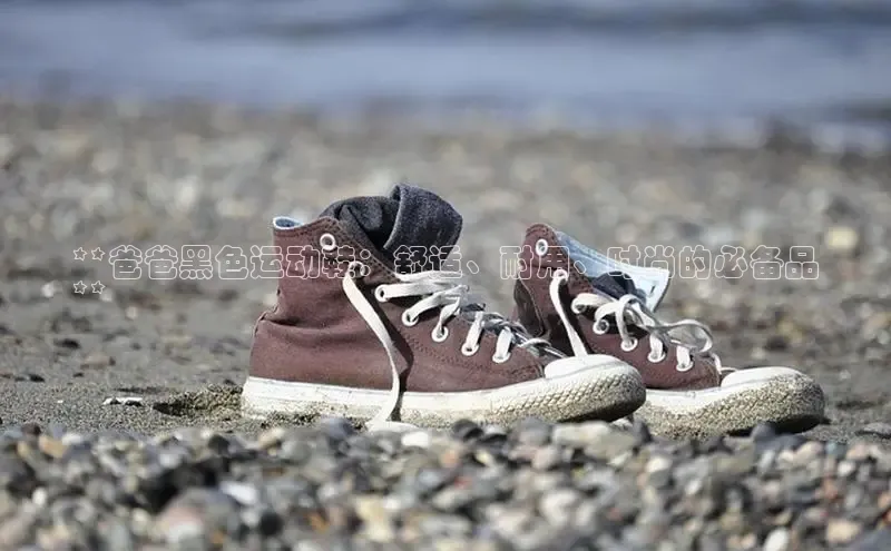 Bsport体育APP下载全站江铃新能源**爸爸黑色运动鞋：舒适、耐用、时尚的必备品
**