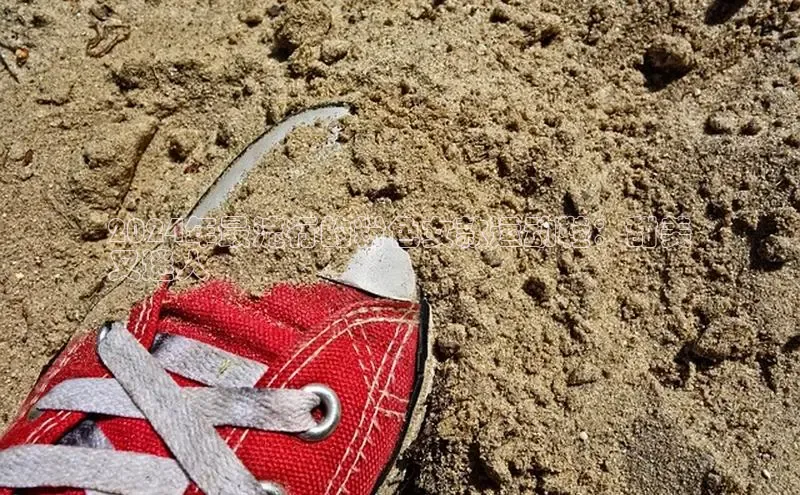 bsports必一中国神思电子2024年最流行的粉色女款运动鞋：甜美
又迷人