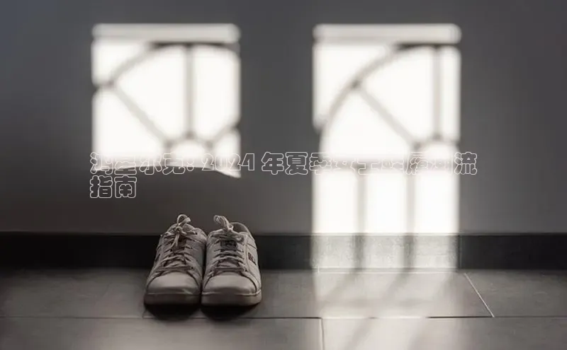 必一运动sport视觉中国鸿星尔克: 2024 年夏季女士鞋履潮流
指南