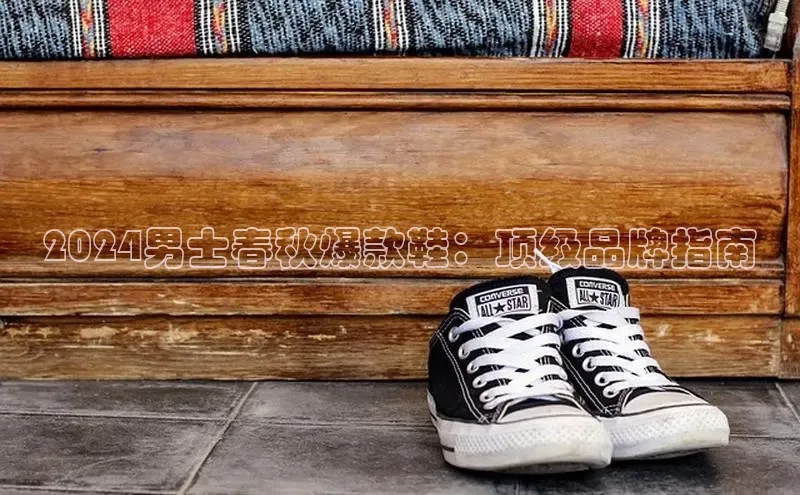 必一体育sport网页版登录云创智行2024男士春秋爆款鞋：顶级品牌指南