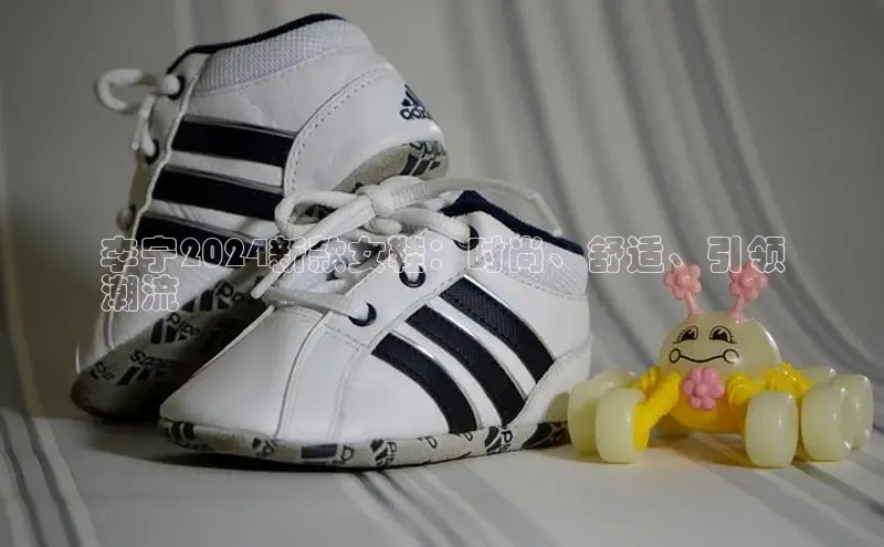 B体育手机版下载app小度商城李宁2024新款女鞋：时尚、舒适、引领
潮流