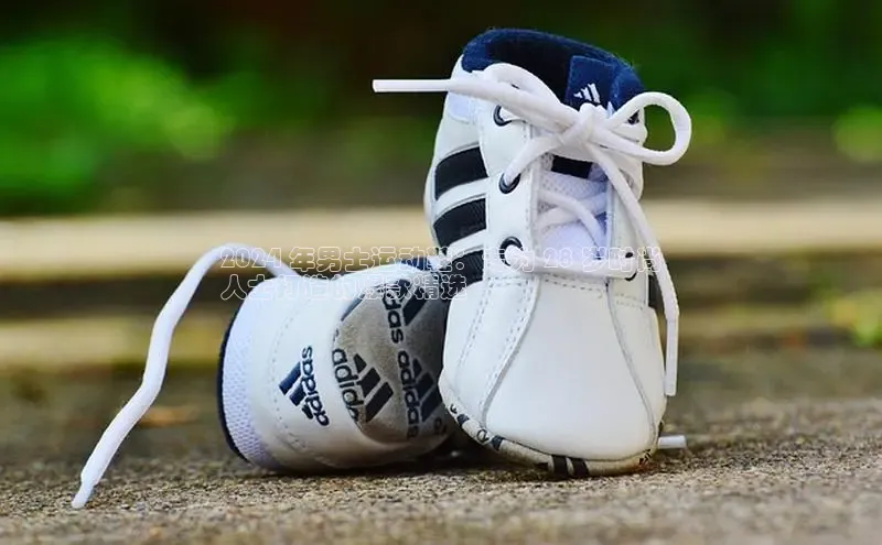 bsports必一运动百度人工翻译2024 年男士运动鞋：专为 28 岁时尚
人士打造的爆款精选