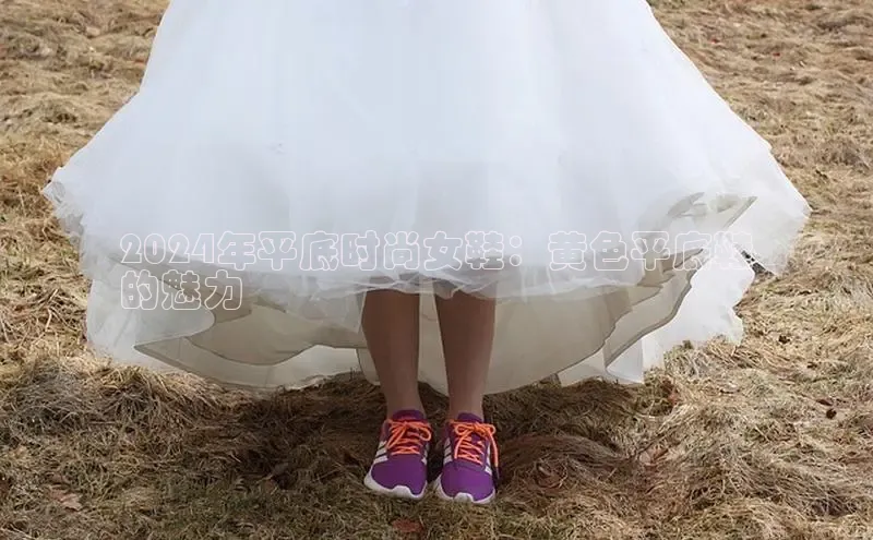 Bsports在线登录入口百度教育2024年平底时尚女鞋：黄色平底鞋
的魅力