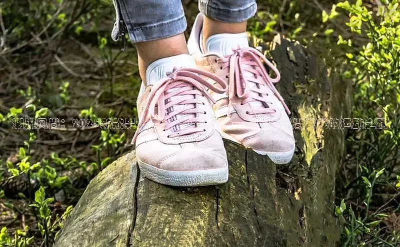 B—sports旧版下载百度识图潮流风尚：2025新款男士运动鞋设计指南——成为时尚爸爸的运动之路