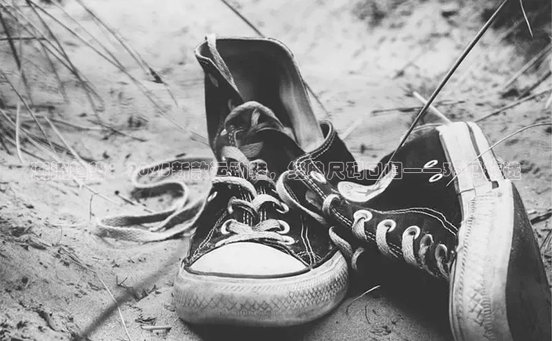 b体育登录入口app下载安装免费中海达潮流趋势：2025新款运动鞋，经典尺码回归——33码精选