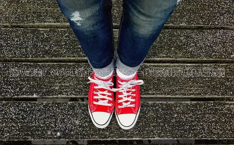 Bsports在线登录入口百度教育预见未来：2025年的十大最具潜力一线运动鞋品牌趋势预测