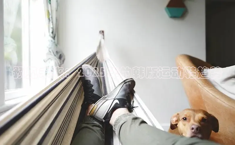 预见未来：2025年的韩版运动鞋趋势