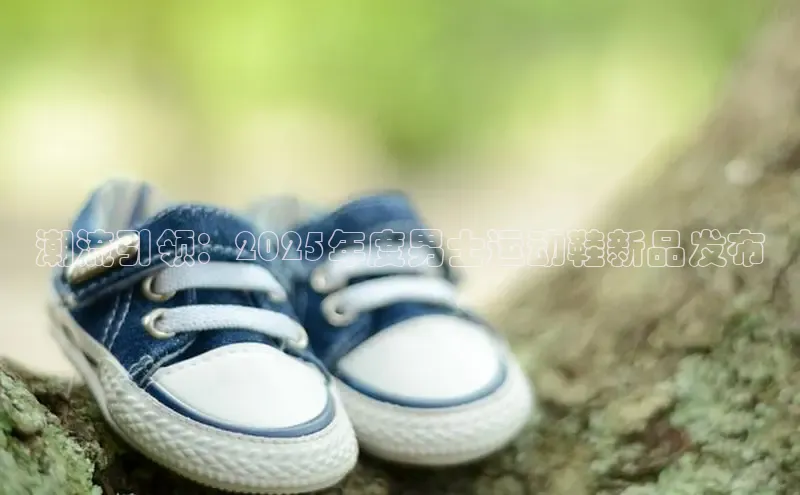 潮流引领：2025年度男士运动鞋新品发布