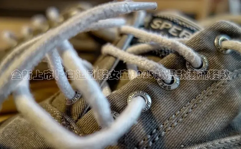 b体育在线登录网页版